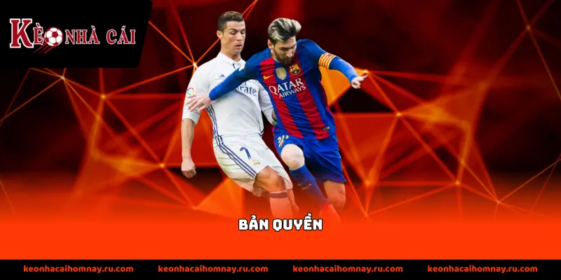 Tầm quan trọng của bản quyền trang web khi hoạt động