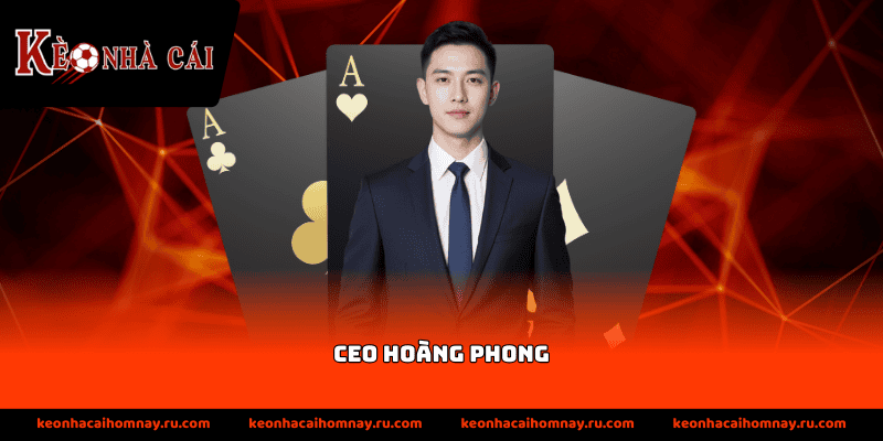 ceo hoàng phong
