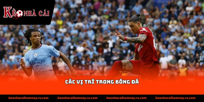 Thông tin giới thiệu về các vị trí trong bóng đá