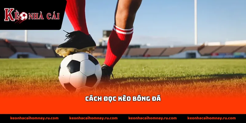 Tầm quan trọng của cách đọc kèo bóng đá trực tuyến