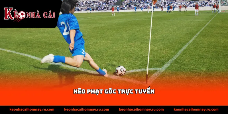 Thông tin về kèo dụ trong bóng đá trực tuyến