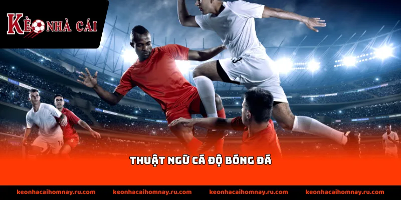 Thông tin về thuật ngữ cá độ bóng đá kèo Châu Á