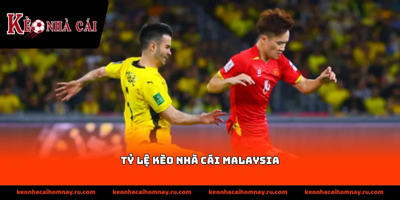 Các đặc điểm nhận diện tỷ lệ kèo nhà cái Malaysia